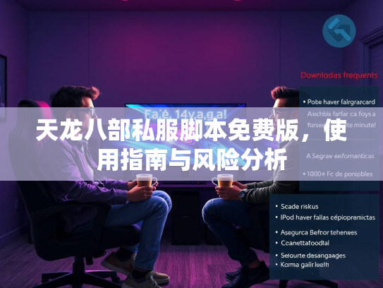天龙八部私服脚本免费版，使用指南与风险分析  第2张