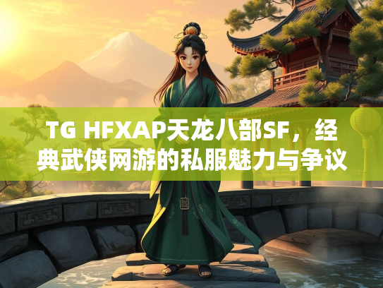 TG HFXAP天龙八部SF，经典武侠网游的私服魅力与争议