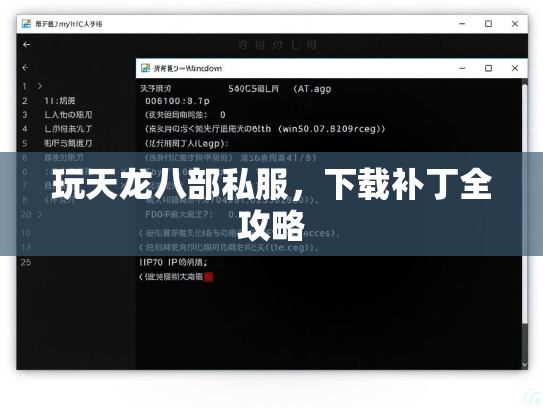 玩天龙八部私服，下载补丁全攻略
