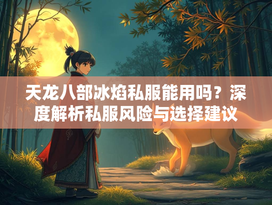 天龙八部冰焰私服能用吗？深度解析私服风险与选择建议  第3张