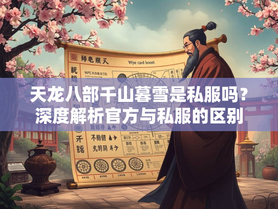 天龙八部千山暮雪是私服吗？深度解析官方与私服的区别  第4张