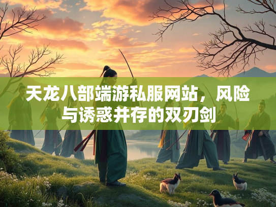 天龙八部端游私服网站，风险与诱惑并存的双刃剑