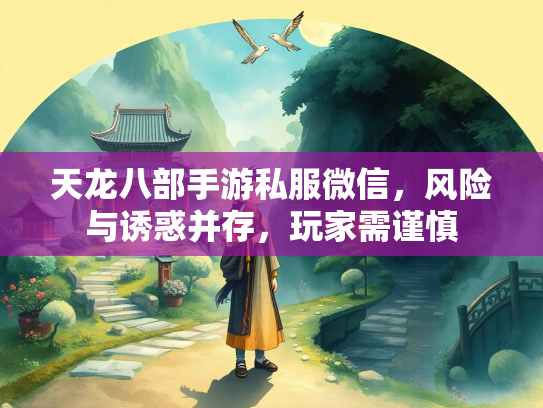 天龙八部手游私服微信，风险与诱惑并存，玩家需谨慎