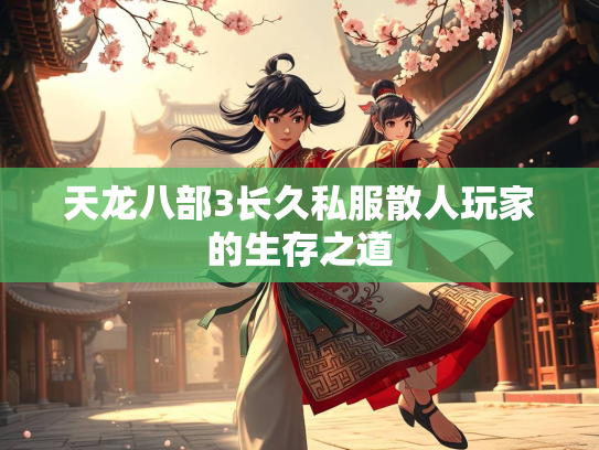 天龙八部3长久私服散人玩家的生存之道