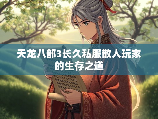 天龙八部3长久私服散人玩家的生存之道