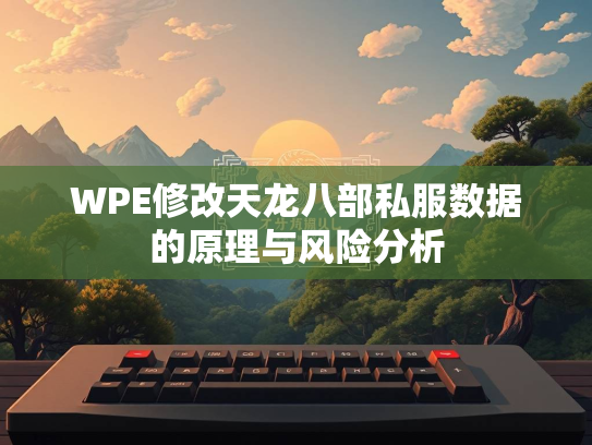 WPE修改天龙八部私服数据的原理与风险分析
