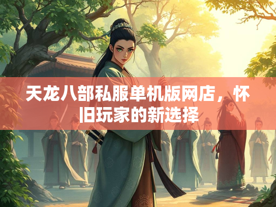 天龙八部私服单机版网店，怀旧玩家的新选择