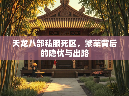 天龙八部私服死区，繁荣背后的隐忧与出路  第2张