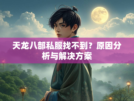 天龙八部私服找不到？原因分析与解决方案  第1张