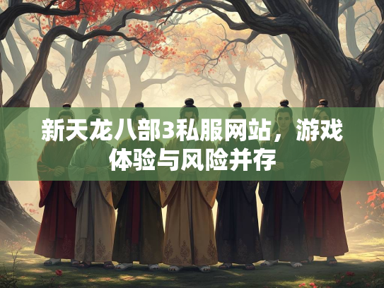 新天龙八部3私服网站，游戏体验与风险并存