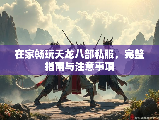 在家畅玩天龙八部私服，完整指南与注意事项  第3张