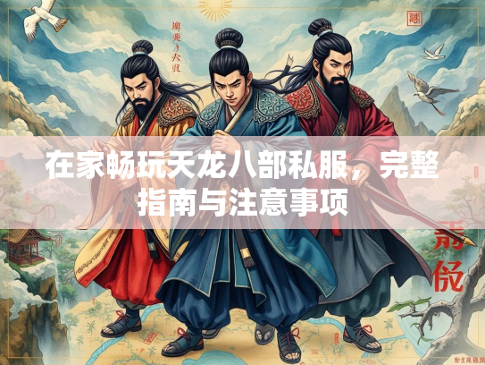 在家畅玩天龙八部私服，完整指南与注意事项  第1张