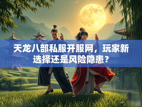 天龙八部私服开服网，玩家新选择还是风险隐患？  第1张