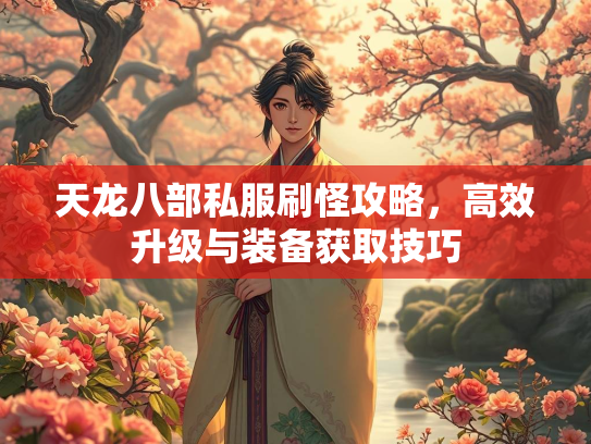 天龙八部私服刷怪攻略，高效升级与装备获取技巧  第4张