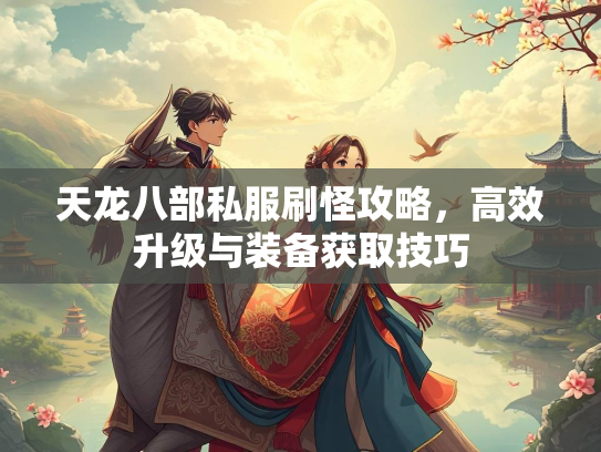 天龙八部私服刷怪攻略，高效升级与装备获取技巧  第5张