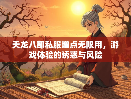 天龙八部私服增点无限用，游戏体验的诱惑与风险  第2张
