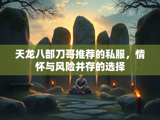天龙八部刀哥推荐的私服，情怀与风险并存的选择