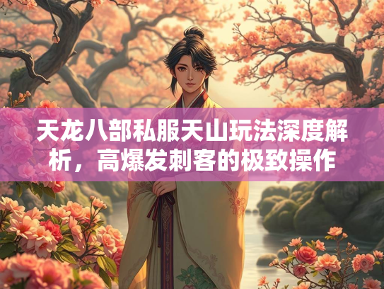 天龙八部私服天山玩法深度解析，高爆发刺客的极致操作  第2张