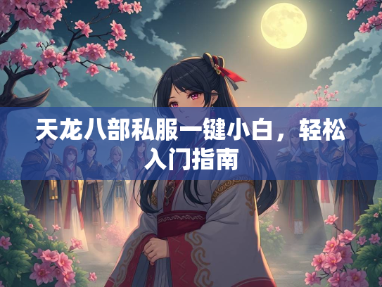 天龙八部私服一键小白，轻松入门指南