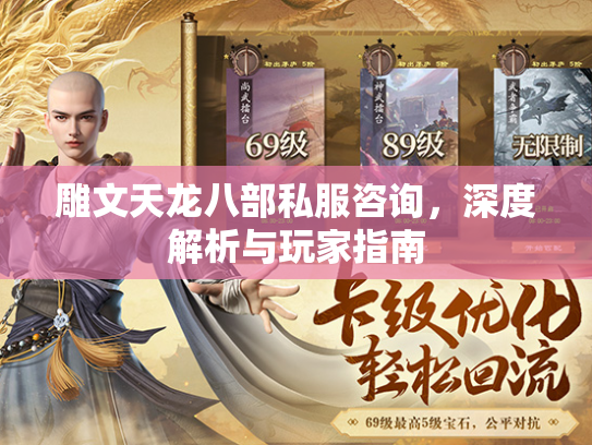雕文天龙八部私服咨询，深度解析与玩家指南  第1张