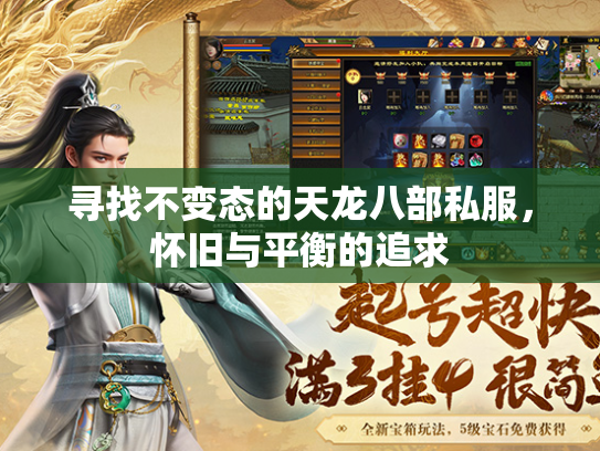 寻找不变态的天龙八部私服，怀旧与平衡的追求  第1张
