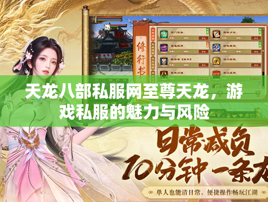天龙八部私服网至尊天龙，游戏私服的魅力与风险  第2张