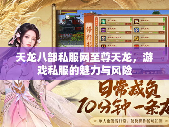 天龙八部私服网至尊天龙，游戏私服的魅力与风险  第3张