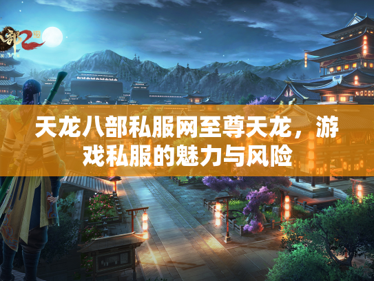 天龙八部私服网至尊天龙，游戏私服的魅力与风险  第1张