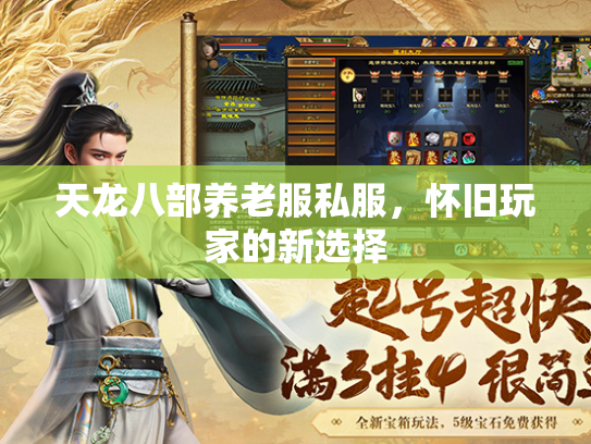 天龙八部养老服私服，怀旧玩家的新选择  第1张