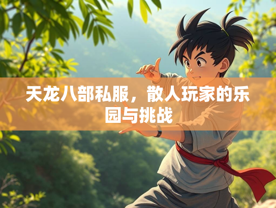 天龙八部私服，散人玩家的乐园与挑战  第3张