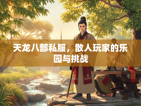 天龙八部私服，散人玩家的乐园与挑战  第1张