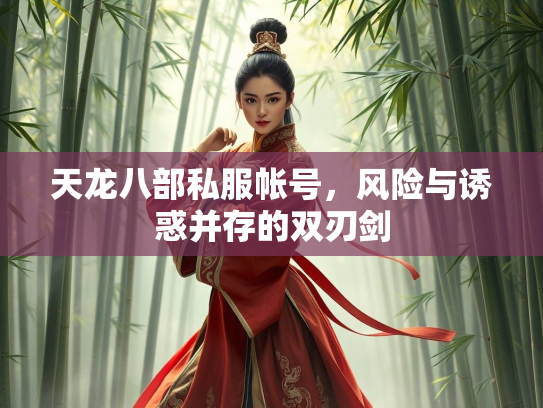 天龙八部私服帐号，风险与诱惑并存的双刃剑  第1张