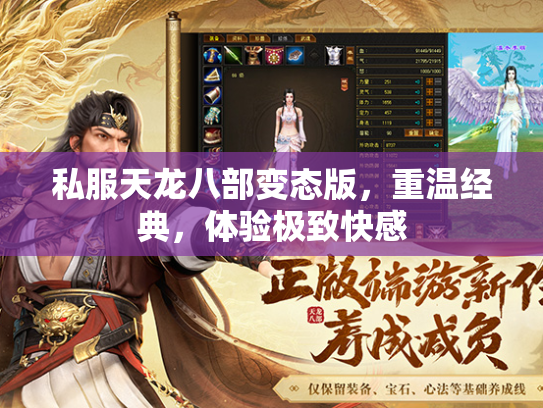 私服天龙八部变态版，重温经典，体验极致快感  第2张