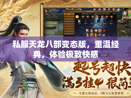 私服天龙八部变态版，重温经典，体验极致快感  第3张