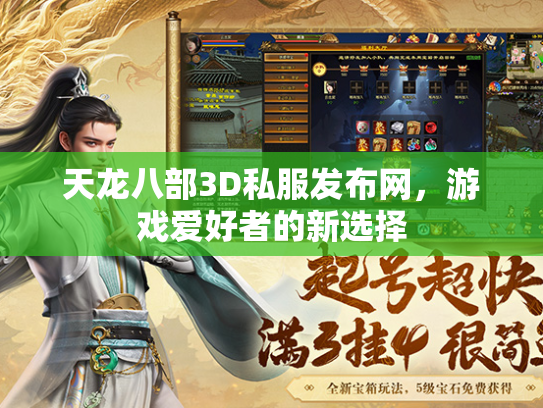 天龙八部3D私服发布网，游戏爱好者的新选择  第3张