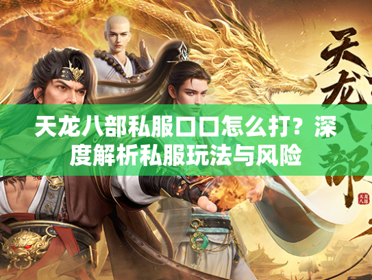 天龙八部私服口口怎么打？深度解析私服玩法与风险  第3张