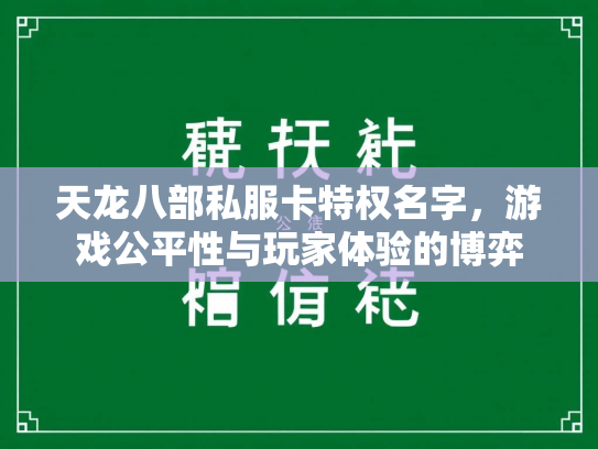 天龙八部私服卡特权名字，游戏公平性与玩家体验的博弈