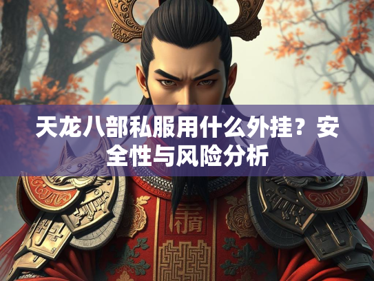 天龙八部私服用什么外挂？安全性与风险分析  第4张