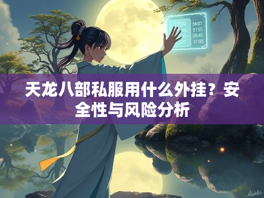 天龙八部私服用什么外挂？安全性与风险分析  第5张