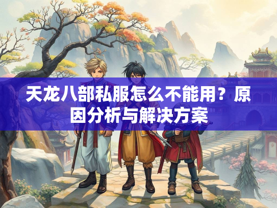 天龙八部私服怎么不能用？原因分析与解决方案  第2张