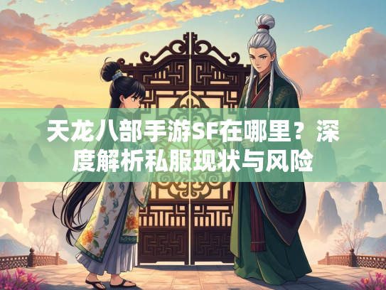 天龙八部手游SF在哪里？深度解析私服现状与风险  第3张