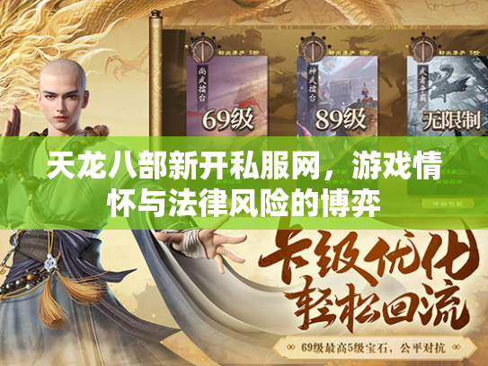 天龙八部新开私服网，游戏情怀与法律风险的博弈  第2张