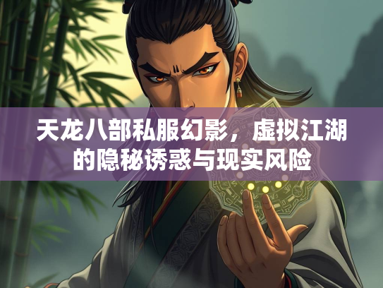 天龙八部私服幻影，虚拟江湖的隐秘诱惑与现实风险  第3张