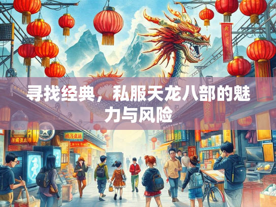 寻找经典，私服天龙八部的魅力与风险  第2张