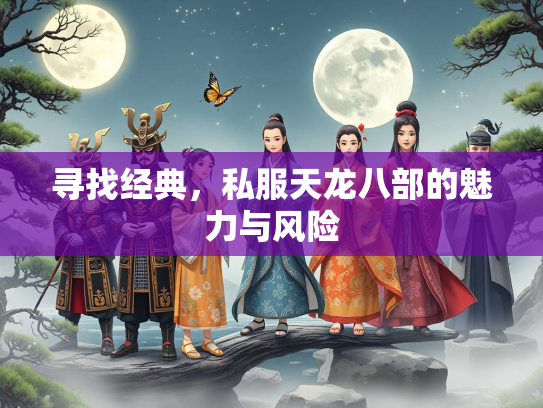 寻找经典，私服天龙八部的魅力与风险  第3张