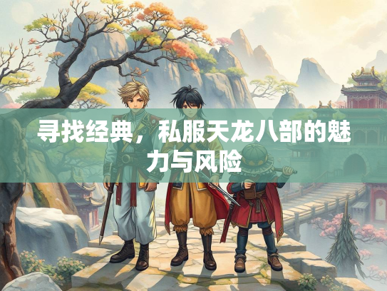 寻找经典，私服天龙八部的魅力与风险  第1张