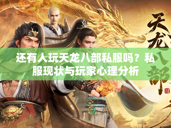 还有人玩天龙八部私服吗？私服现状与玩家心理分析  第3张