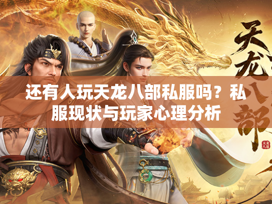 还有人玩天龙八部私服吗？私服现状与玩家心理分析  第1张
