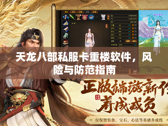 天龙八部私服卡重楼软件，风险与防范指南  第2张