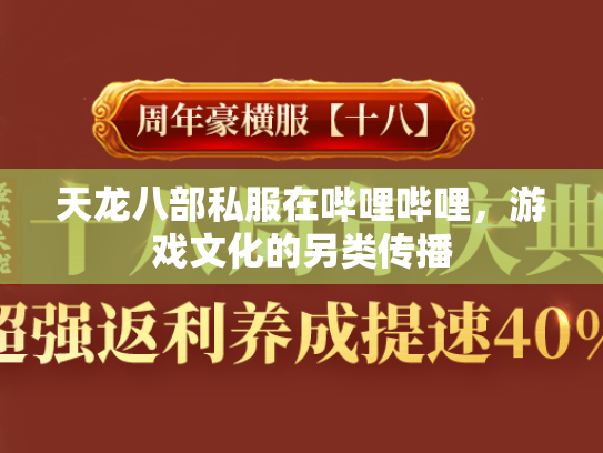 天龙八部私服在哔哩哔哩，游戏文化的另类传播  第3张